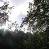 0410F 08 PB-Bad Pyrmont